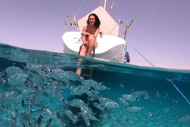 Catamaran Excursions in the Asinara Island National Park - Pricing and Booking Information