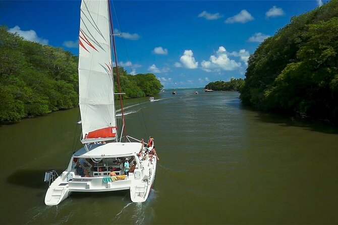 Catamaran Full Day Guided Tour to Ile Aux Cerfs From Pointe Jerome - Itinerary Overview