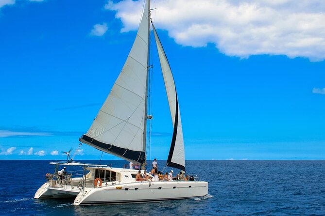 Catamaran Full Day Guided Tour to Ile Aux Cerfs From Pointe Jerome - Customer Reviews