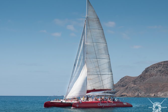 Catamaran Half-Day Cruise From Caleta De Fuste - Itinerary