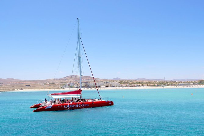 Catamaran Half-Day Cruise From Caleta De Fuste - Additional Information