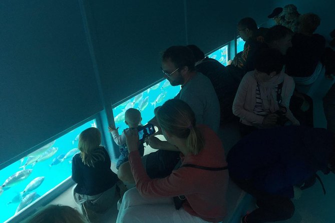 Catamaran in Cala Murtra With Super Underwater Vision - Practical Information and Cancellation Policy