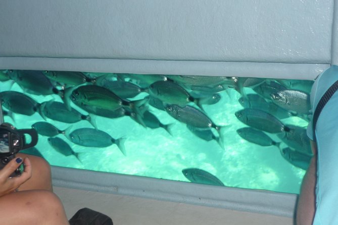 Catamaran in Cala Murtra With Super Underwater Vision - The Sum Up