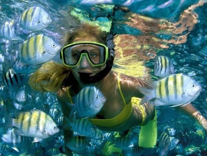 Catamaran Isla Mujeres + Coco Bongo Combo Tour - Important Information