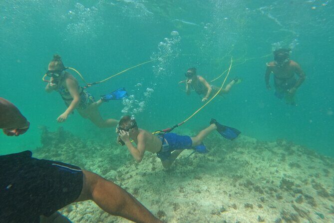 Catamaran Party and Hooka Diving Experience - Authentic Perspectives from Past Travelers