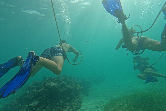 Catamaran Party and Hooka Diving Experience - FAQs