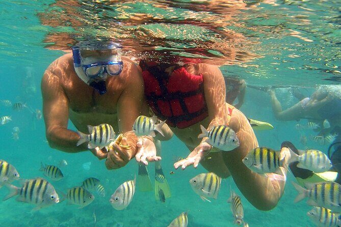 Catamaran Party Boat And Snorkeling Experience - A Comprehensive Review of the Punta Cana Catamaran Experience