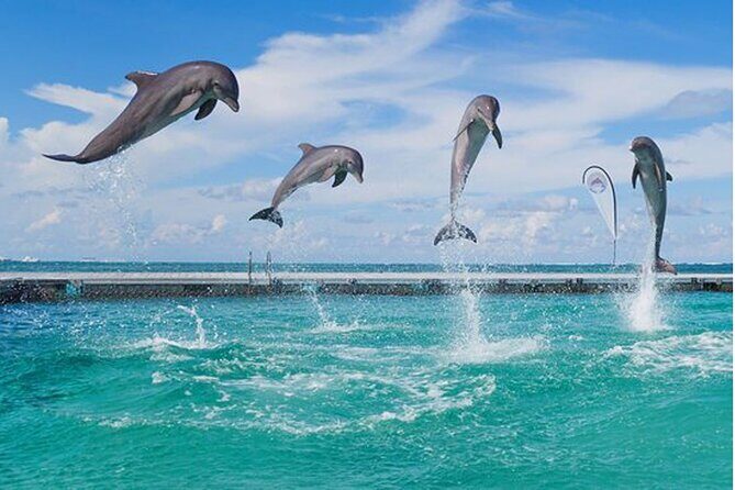 Catamaran Party in Punta Cana with Unlimited Drinks - FAQ