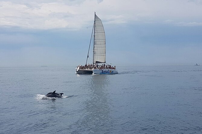 Catamaran Party Tour For Young People - Common Questions