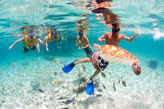 Catamaran Plus Tour to Isla Mujeres with National Open Bar from Cancun - Practical Details and Tips