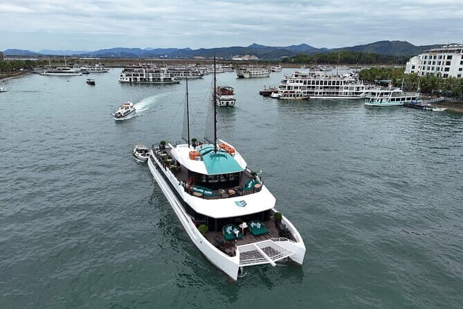 Catamaran Premium Cruise to Halong Bay & Lan Ha Bay in 1 Day Tour - Good To Know