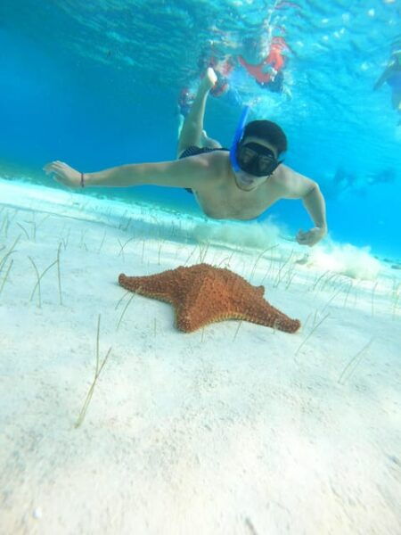 Catamaran Premium Snacks and Open Bar - Snorkeling Experiences