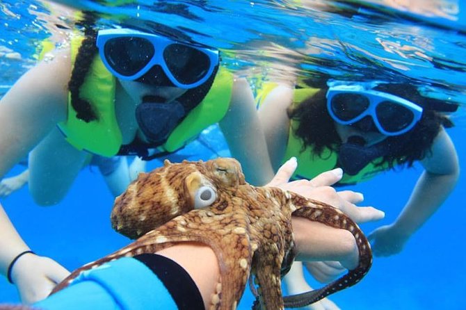 Catamaran Sail and Snorkel From Ko Olina - Tour Overview and Highlights