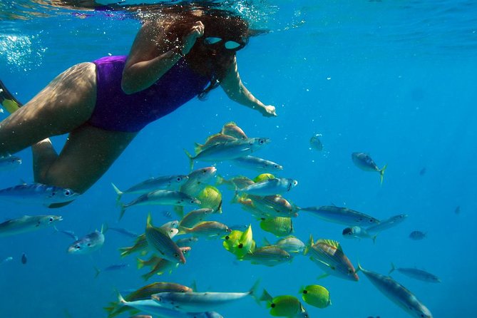 Catamaran Sail and Snorkel From Ko Olina - Customer Reviews and Recommendations