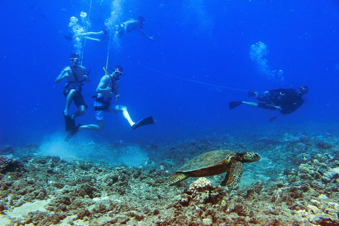 Catamaran Sail and Snorkel From Ko Olina - Tips and Suggestions