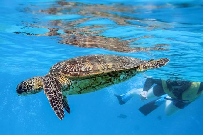 Catamaran Sail and Snorkel From Ko Olina - The Sum Up