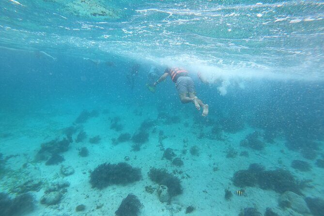 Catamaran Sail with Snorkeling and Beach Club of Isla Mujeres - FAQ