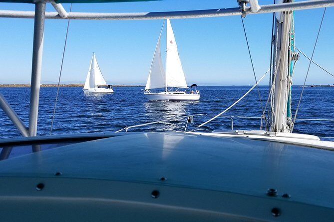 Catamaran Sailing Cruise on San Diego Bay for up to 6 Guests - Final Thoughts