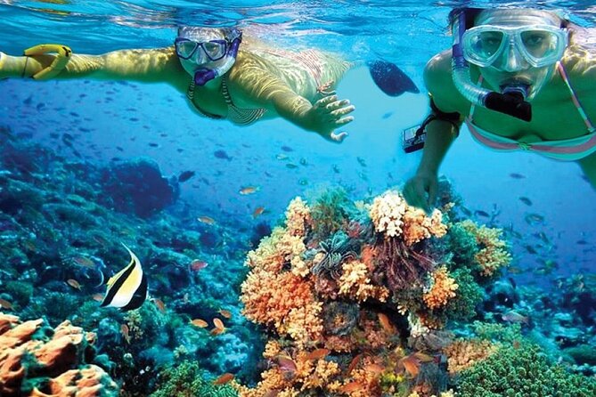 Catamaran Sailing to Isla Mujeres With Snorkeling, Lunch & Open Bar Included - Traveler Reviews