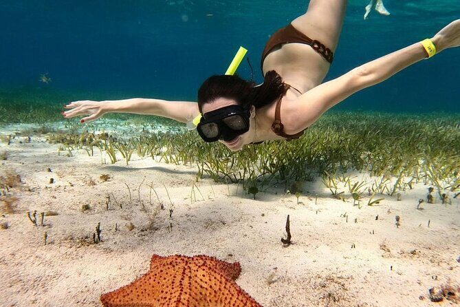 Catamaran Sky Tour in Cozumel - The Sunset Return