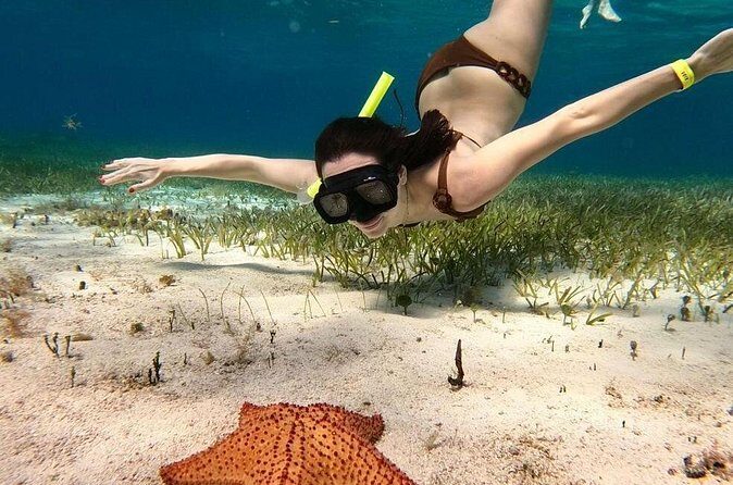 Catamaran Sky Tour in Cozumel - Whats Included and Whats Not