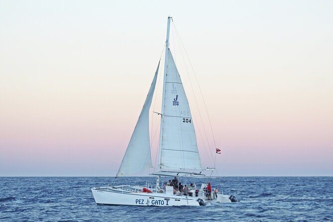 Catamaran Snorkel at Los Cabos! Gorgeous Snorkel & Party + Round Transportation - Good To Know