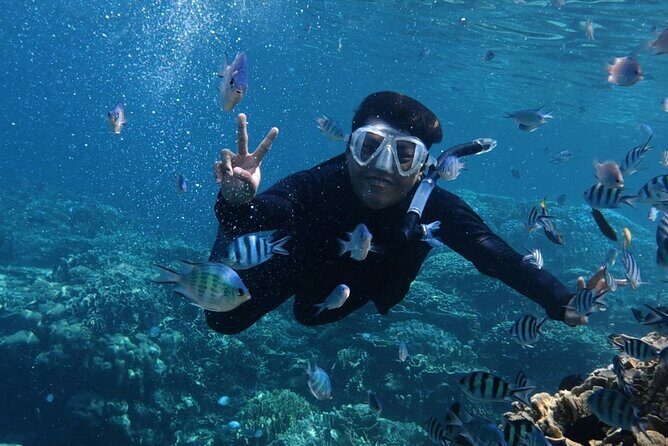 Catamaran Snorkeling in Kota Kinabalu - What Travelers Say: Authentic Insights