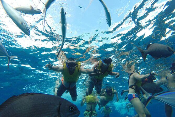 Catamaran Snorkeling to El Cielo and The Money Bar Beach Club - FAQs About the Catamaran Snorkeling Tour