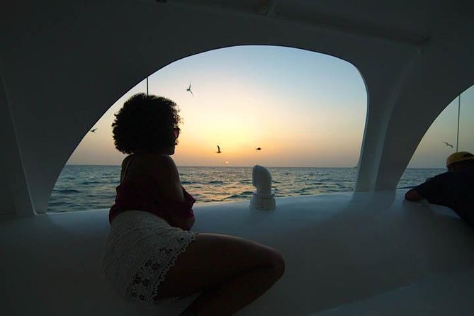 Catamaran Sunset Adventure Cruise Aboard The Dolphin - Meeting and Pickup
