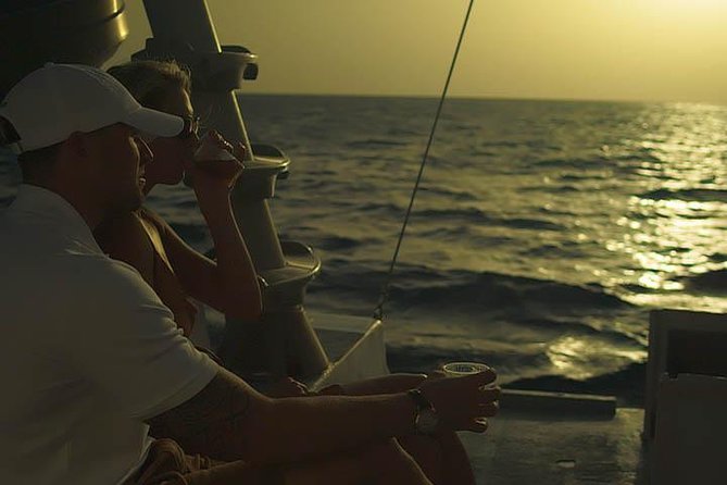 Catamaran Sunset Adventure Cruise Aboard The Dolphin - Positive Experiences