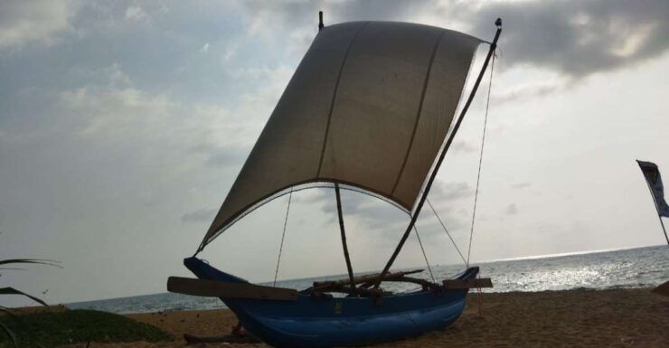 Catamaran Sunset Sailing in Mount Lavinia - Experience Highlights