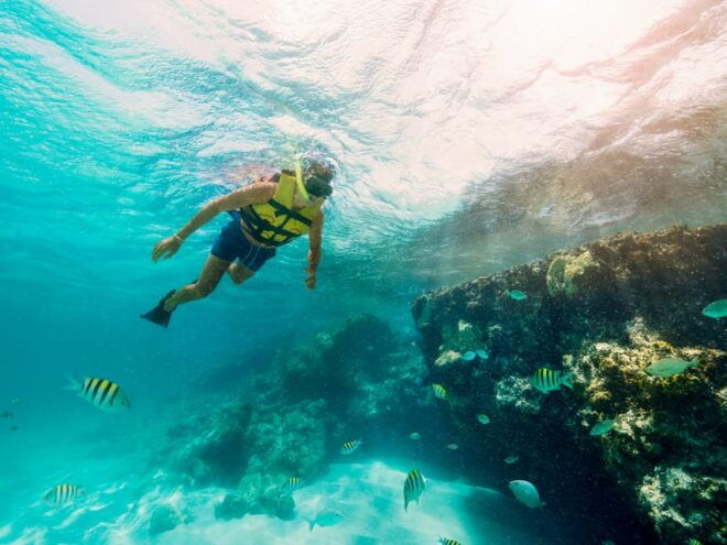 CATAMARAN SWIM ADVENTURE - What to Bring and Restrictions