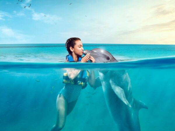 CATAMARAN SWIM ADVENTURE - Beach Club Amenities