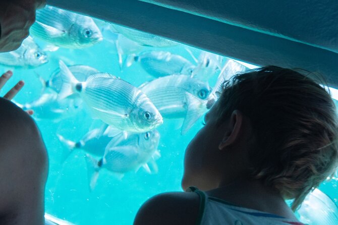 Catamaran to Cap Norfeu & Joncols With Super Submarine Vision - Additional Information