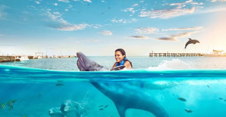 Catamaran to Isla Mujeres and Swim With Dolphins Adventure - Good To Know