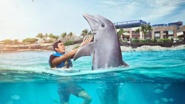 Catamaran to Isla Mujeres and Swim With Dolphins Adventure - Pricing and Reservation Details