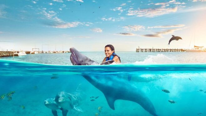 Catamaran to Isla Mujeres and Swim With Dolphins Adventure - Dolphin Encounter Experience
