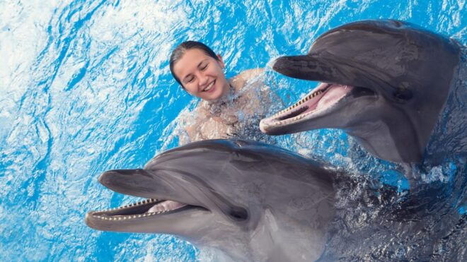 Catamaran to Isla Mujeres and Swim With Dolphins Adventure - Dietary and Age Restrictions