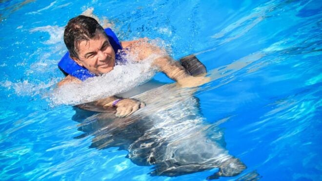 Catamaran to Isla Mujeres and Swim With Dolphins Adventure - Dietary and Age Restrictions