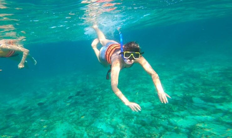 Catamaran to Isla Mujeres, Lunch, Open Bar & Snorkel - Booking and Logistics