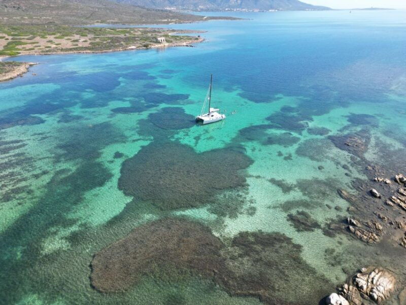 Catamaran tour Asinara island national park Buriana Charter - Good To Know
