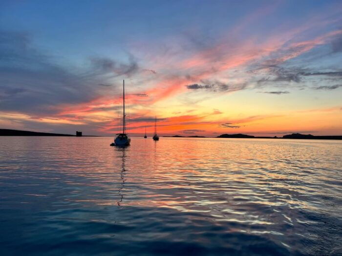 Catamaran tour Asinara island national park Buriana Charter - Wildlife & Marine Watching: What to Expect
