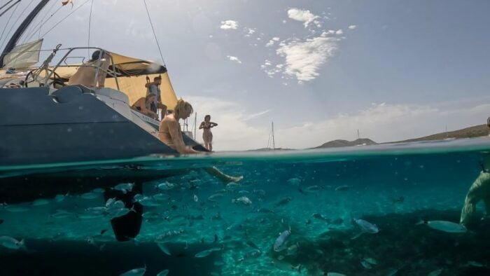 Catamaran tour Asinara island national park Buriana Charter - Flexibility & Weather Considerations
