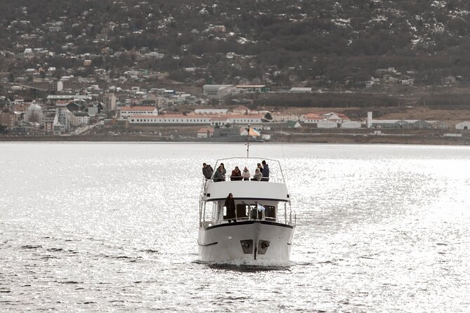Catamaran Tour Through the Beagle Channel and Penguins in Isla Martillo - Traveler Experiences