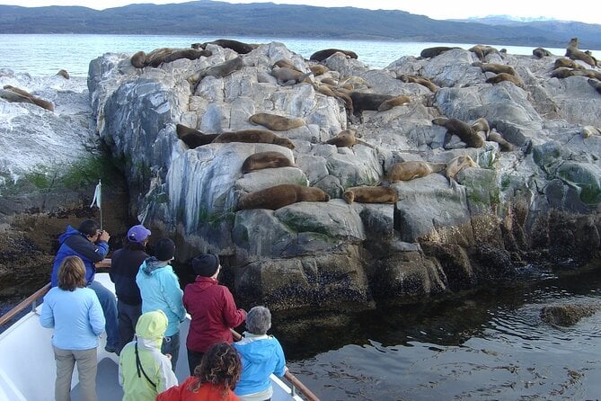 Catamaran Tour Through the Beagle Channel in Ushuaia - Tour Highlights