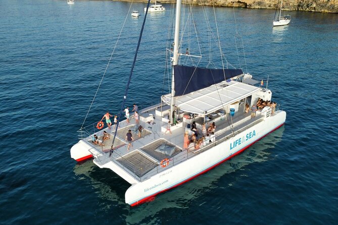 Catamaran With BBQ in the Bay of Palma - Expectations and Accessibility