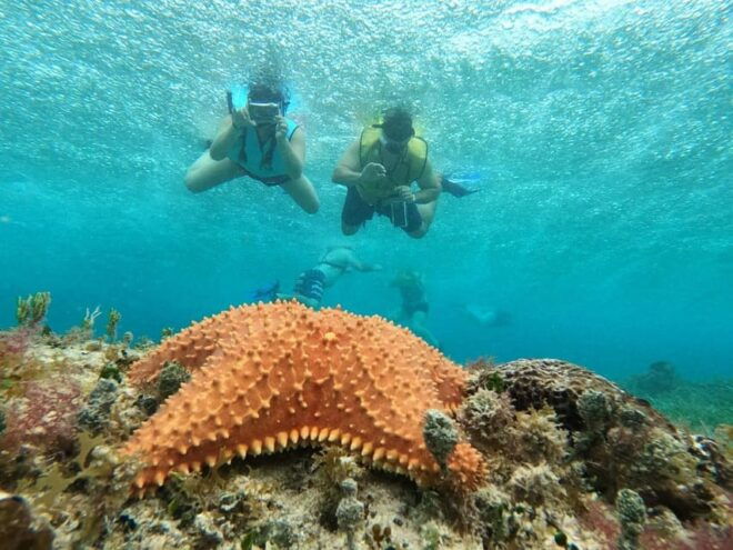 Catamaran,El Cielo, Palancar Reef and Colombia Reef - Meeting Point and Check-in
