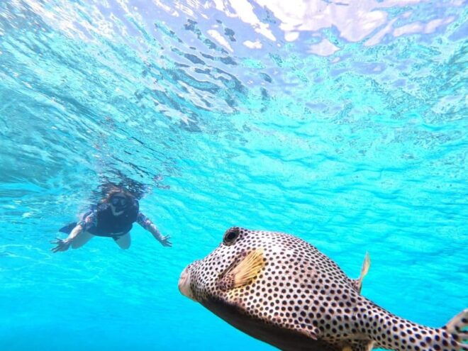Catamaran,El Cielo, Palancar Reef and Colombia Reef - Availability and Scheduling
