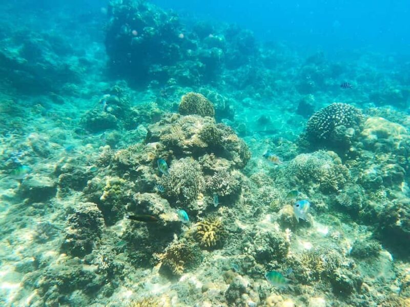 Catanduanes in 3 days: Koh-Lanta spirit, local fishing, and a secret beach - The Sum Up