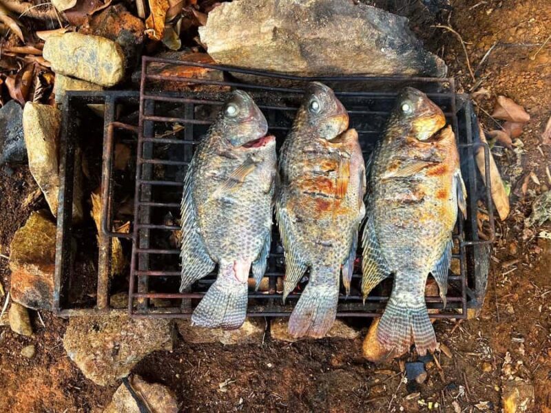 Catanduanes in 3 days: Koh-Lanta spirit, local fishing, and a secret beach - Logistics & Practicalities